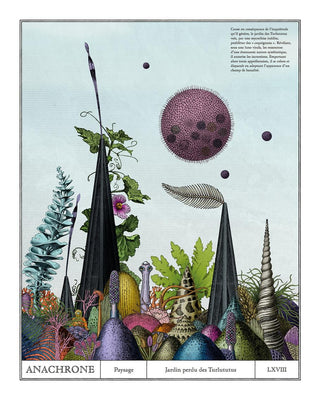 Lost garden of Turlututus (reproduction)