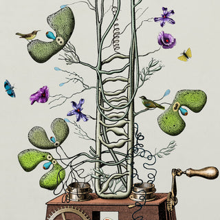 Moulinette germinescente